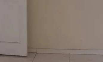 Imagem 5: Abolição - Apartamento Sala, 1 quarto cozinha, banheiro e Área