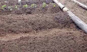 Imagem 12: Alugo chácara em condomínio fechado