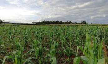 Imagem: Chácara de 1.000 metros 6 km de Anápolis