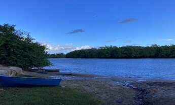 Imagem 3: TERRENO COM 265 METROS EM BARRA DE JACUÍPE