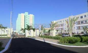 Imagem 6: Araçatuba - Apartamento - Conjunto Habitacional Doutor Antônio Villela Silva