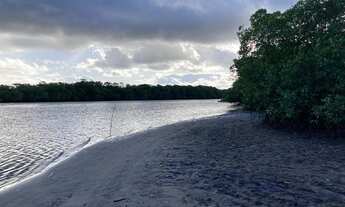 Imagem 6: TERRENO COM 265 METROS EM BARRA DE JACUÍPE
