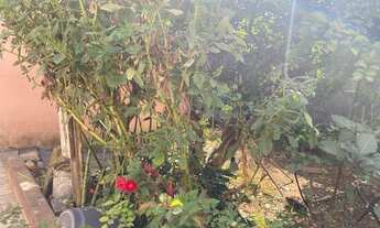 Imagem 5: Casa de vila térrea para venda tem 250 metros quadrados com 2 quartos