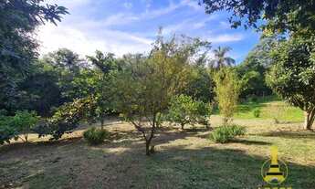 Imagem 7: Ótimo chácara à venda em bairro tranquilo, com muita área verde