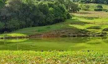 Imagem 5: Sítio a venda na Castello Branco Km 188