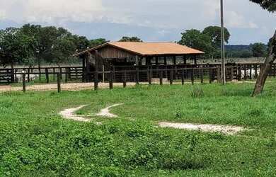 Imagem 5: Fazenda à venda, 4 quartos, Zona Rural - Cocalinho/MT