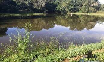 Imagem 5: FAZENDA EM ARAGOIANIA COM 32 ALQUEIRES