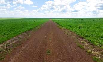 Imagem 6: Fazenda totalmente legalizada e de alta produtividade