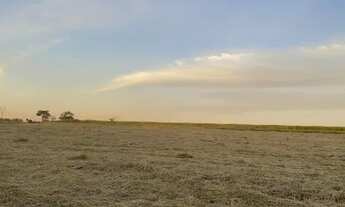 Imagem 3: Chácara Sitio - Lugar lindo com fácil acesso - oportunidade única