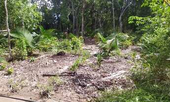 Imagem 5: Vendo este terreno no Pajuçara