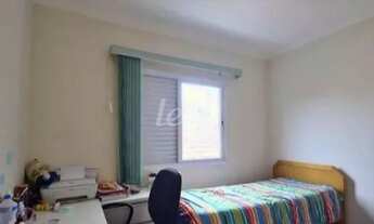 Imagem 4: Santo André - Casa Padrão - Vila Floresta