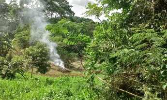 Imagem 4: Chácara em Bonfinópolis