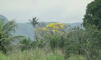 Imagem 3: Sítio em Santa Cruz