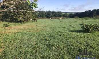 Imagem 7: FAZENDA EM ARAGOIANIA COM 32 ALQUEIRES