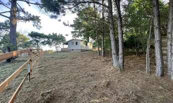 Imagem 4: Vendo um Sítio com casa Morungava