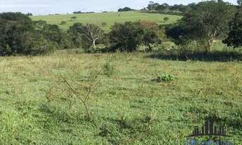 Imagem: FAZENDA EM ARAGOIANIA COM 32 ALQUEIRES