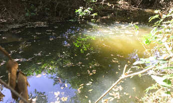 Imagem: CHÁCARA PRÓXIMA BARRAGEM COPASA