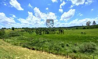 Imagem 4: Área de terra com 17h e frente para BR386 e RS124 em Triunfo