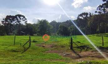 Imagem 8: Chácara à venda, 7 alqueires por R$ 1.200.000 - Zona Rural - Guarapuava/PR