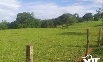 Imagem 2: Fazenda 32 Alqueire (154 Há) Jaraguá - GO
