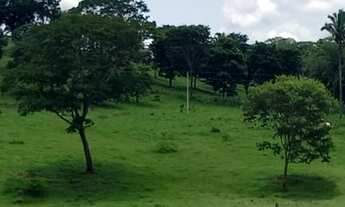 Imagem 5: Oportunidade! Vende-se uma excelente fazenda de 110 Alqueires