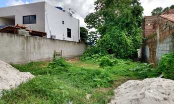 Imagem 5: Vende Terreno Sucupira 200m²