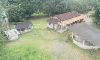 Imagem 3: Fazenda no Pará - São Francisco do Pará