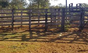 Imagem 5: ESTRUTURA PARA PECUÁRIA!!!AGUA DE NASCENTE!!!90% PASTAGEM!!! 35 KM DO AEROPORTO!!!