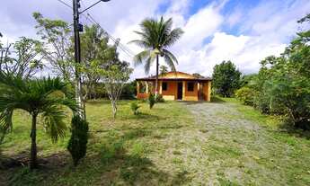 Imagem 6: Sítio com Sete tarefas e meia na matinha