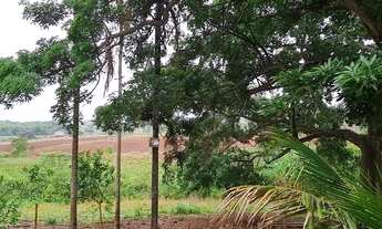 Imagem: Oportunidade chácara com excelente localização