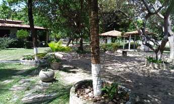 Imagem 3: Vende-se chácara