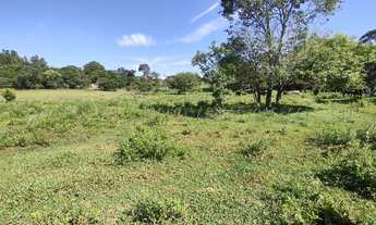 Imagem 2: Chácara próximo a Nerópolis