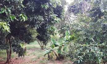 Imagem 2: Chácara Condomínio Bacuri- São José do Rio Preto-SP