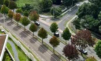 Imagem 5: Apartamento para venda possui 88 metros quadrados com 3 quartos em Cidade Industrial - Cur