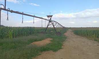 Imagem: OPORTUNIDADE lt br gt Fazenda de 497 hectares