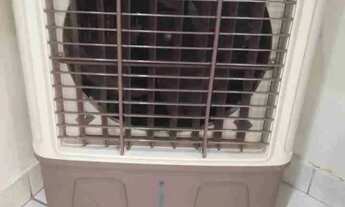 Imagem 7: Terreno à venda