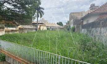 Imagem 2: Araçatuba - Lote/Terreno - Centro