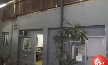 Imagem 7: São Paulo - Galpão/Depósito/Armazém - Vila Matilde