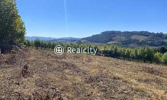 Imagem 3: GARIBALDI - Padrão - Interior