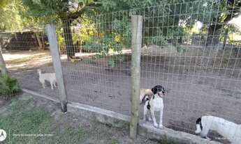 Imagem 4: Fazenda com 4 ALQUEIRE para venda possui 193.600 m² CASA SEDE com 2 quartos