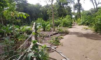 Imagem 6: Vendo este terreno no Pajuçara