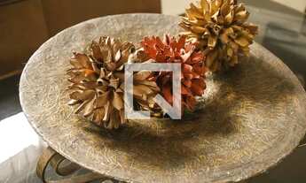 Imagem 7: Casa para Aluguel - Novo Progresso, 2 Quartos, 290 m2