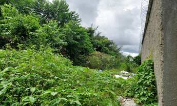 Imagem 6: Terreno no Miritiua