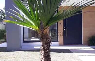 Imagem 2: Casa Condomínio em Jacareí