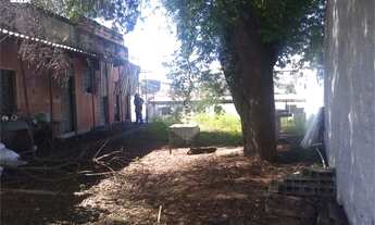 Imagem 3: Penha - Terreno plano em localização privilegiada [VP