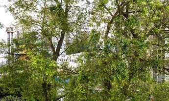 Imagem 7: Apartamento reformado em região privilegiada