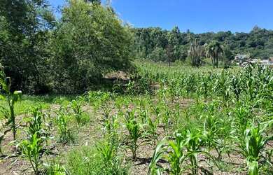 Imagem 5: Vendo Sítio com vista panorâmica Meia Hectare parcelo no boleto