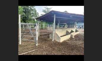 Imagem 2: Fazenda Fazenda / sítio com venda por R$280.000