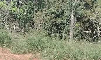 Imagem 7: Espaço para realizar seus sonhos: Terreno de 600m² em Nazaré Paulista com excelenteça Paul