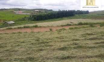 Imagem 4: Terreno à venda, 3000 m² por R$ 181.000 - São João da Boa Vista - Caçapava/SP